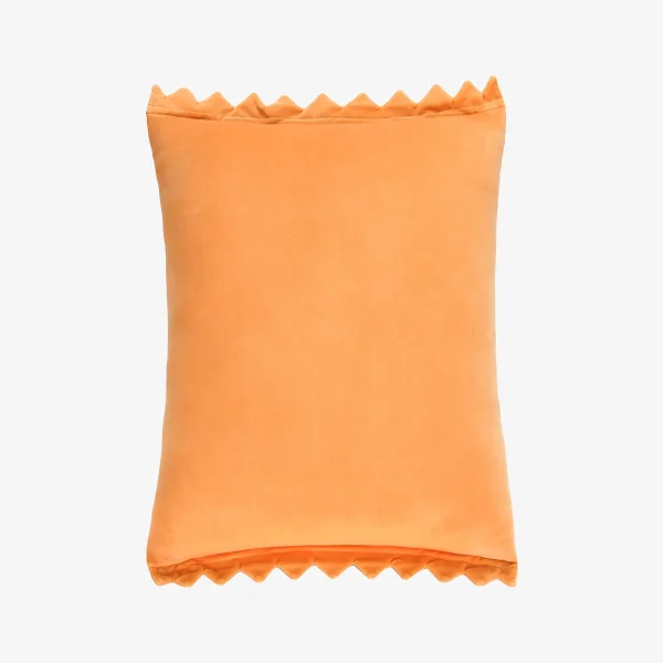 labubu-the-monsters-wacky-mart-series-pillow-chips-1
